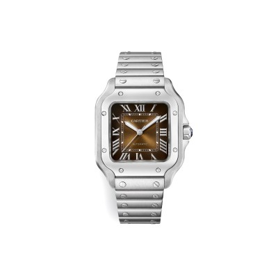 CARTIER SANTOS DE CARTIER WATCH WSSA0065